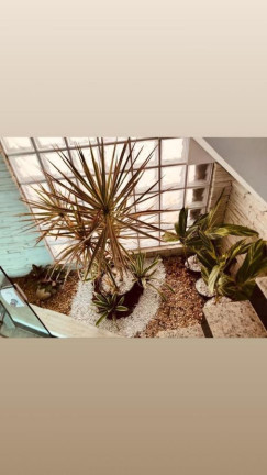 Imagem Casa com 4 Quartos à Venda, 325 m² em Recreio Dos Bandeirantes - Rio De Janeiro Imagem Casa com 4 Quartos à Venda, 325 m² em Recreio Dos Bandeirantes - Rio De Janeiro