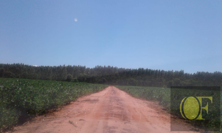 Imagem Fazenda à Venda, 793 m² em Rural - Ivinhema Imagem Fazenda à Venda, 793 m² em Rural - Ivinhema