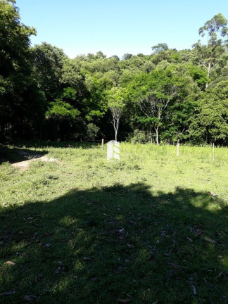 Imagem Imóvel com 2 Quartos à Venda, 30.000 m² em Novo Pinhal - Itaara
