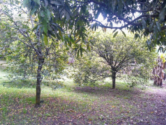 Imagem Chácara com 2 Quartos à Venda, 1.100 m² em São Roque