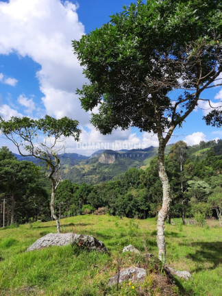 Imagem Imóvel à Venda, em Região De Gonçalves - Gonçalves Imagem Imóvel à Venda, em Região De Gonçalves - Gonçalves