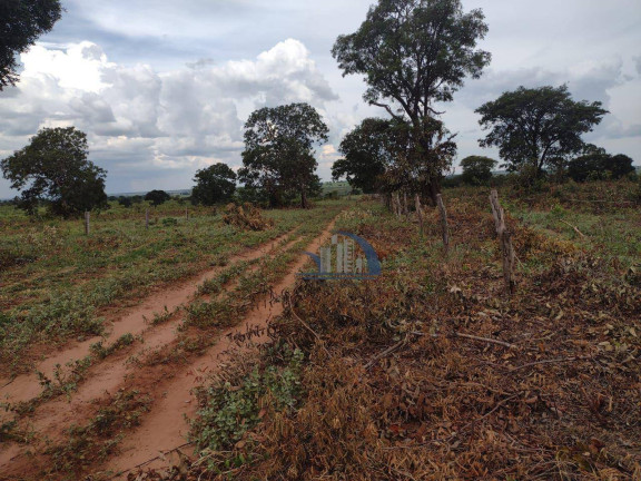 Imagem Fazenda à Venda, 10.210.000 m² em Centro - Ribas Do Rio Pardo Imagem Fazenda à Venda, 10.210.000 m² em Centro - Ribas Do Rio Pardo