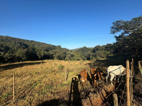 Imagem Chácara à Venda, 4 m² em Vieiras - Itatiaiuçu