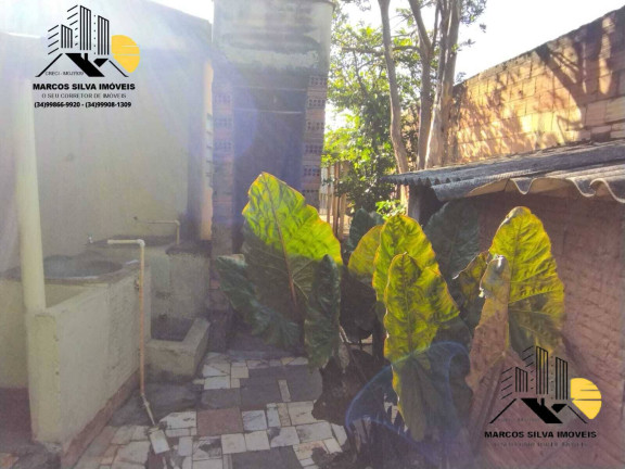 Imagem Casa com 3 Quartos à Venda, 300 m² em Segismundo Pereira - Uberlândia