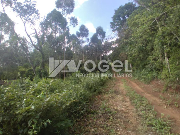 Imagem Imóvel à Venda, 5 m² em Bairro Não Informado - Ivoti Imagem Imóvel à Venda, 5 m² em Bairro Não Informado - Ivoti