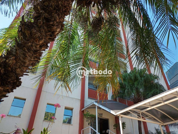 Imagem Apartamento com 2 Quartos para Alugar, 62 m² em Chácara Da Barra - Campinas Imagem Apartamento com 2 Quartos para Alugar, 62 m² em Chácara Da Barra - Campinas