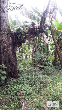 Imagem Terreno à Venda, 10.560 m² em Granja Viana - Cotia Imagem Terreno à Venda, 10.560 m² em Granja Viana - Cotia