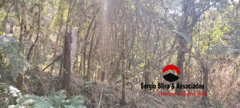 Terreno à Venda, 1 m² em Campos Do Jordão