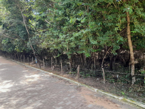 Imagem Terreno à Venda, 3.374 m² em Imediações Do Anel Viário De Pipa - Tibau Do Sul Imagem Terreno à Venda, 3.374 m² em Imediações Do Anel Viário De Pipa - Tibau Do Sul