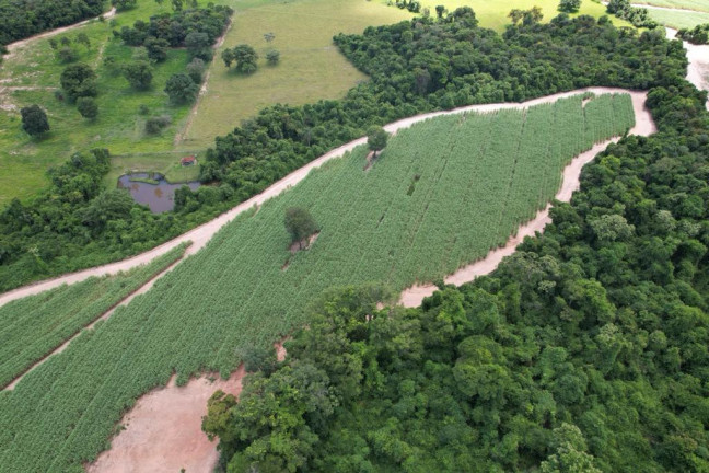 Imagem Chácara à Venda, 16 m² em Zona Rural - Cajuru Imagem Chácara à Venda, 16 m² em Zona Rural - Cajuru