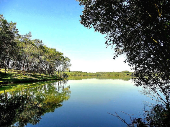 Imagem Imóvel à Venda, 20.000 m² em Botiatuva - Campo Largo Imagem Imóvel à Venda, 20.000 m² em Botiatuva - Campo Largo
