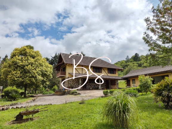 Imagem Imóvel à Venda, 350.000 m² em Linha 28 - Gramado Imagem Imóvel à Venda, 350.000 m² em Linha 28 - Gramado