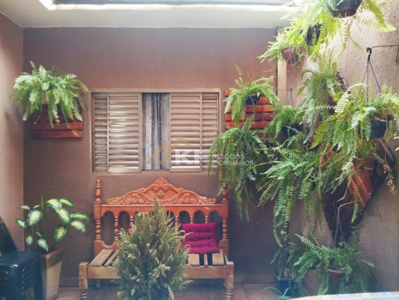 Imagem Casa com 2 Quartos à Venda, 120 m² em Parque Dos Pinus - Ribeirão Preto Imagem Casa com 2 Quartos à Venda, 120 m² em Parque Dos Pinus - Ribeirão Preto