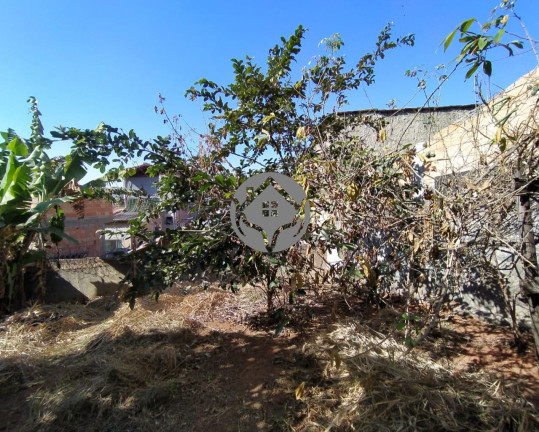 Imagem Imóvel à Venda, 600 m² em Candelária - Belo Horizonte Imagem Imóvel à Venda, 600 m² em Candelária - Belo Horizonte