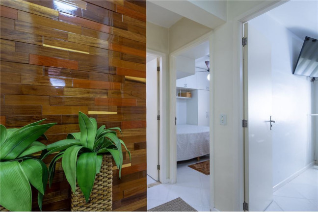 Imagem Apartamento com 2 Quartos à Venda, 59 m² em Vila Santa Catarina - São Paulo Imagem Apartamento com 2 Quartos à Venda, 59 m² em Vila Santa Catarina - São Paulo