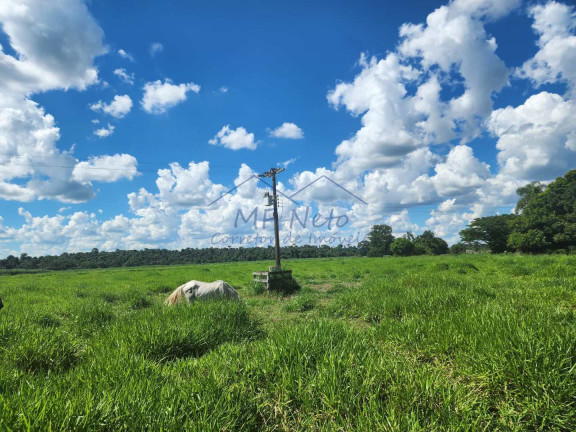 Imagem Fazenda à Venda, 9 m² em Santa Tereza - Pirassununga Imagem Fazenda à Venda, 9 m² em Santa Tereza - Pirassununga