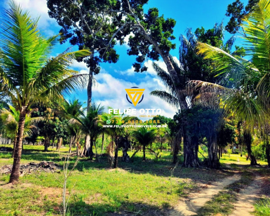 Imagem Imóvel com 2 Quartos à Venda, 80.000 m² em Yaya - Santa Cruz Cabrália Imagem Imóvel com 2 Quartos à Venda, 80.000 m² em Yaya - Santa Cruz Cabrália