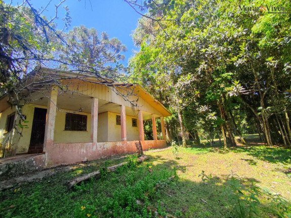 Chácara à Venda, 6.000 m² em Loteamento Chácara Chantecler - Piraquara