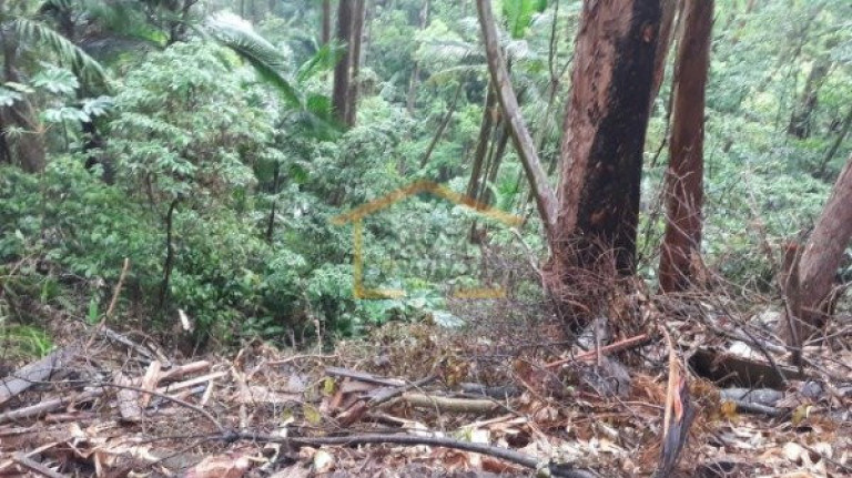 Imagem Terreno à Venda, 3.351 m² em Tucuruvi - São Paulo Imagem Terreno à Venda, 3.351 m² em Tucuruvi - São Paulo