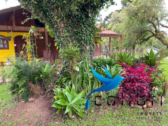 Imagem Chácara com 3 Quartos à Venda, 47.513 m² em Capoeira Dos Dinos - Piraquara