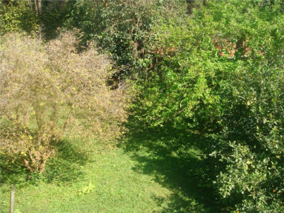 Imagem Casa com 4 Quartos à Venda, 550 m² em Granja Viana - Cotia Imagem Casa com 4 Quartos à Venda, 550 m² em Granja Viana - Cotia