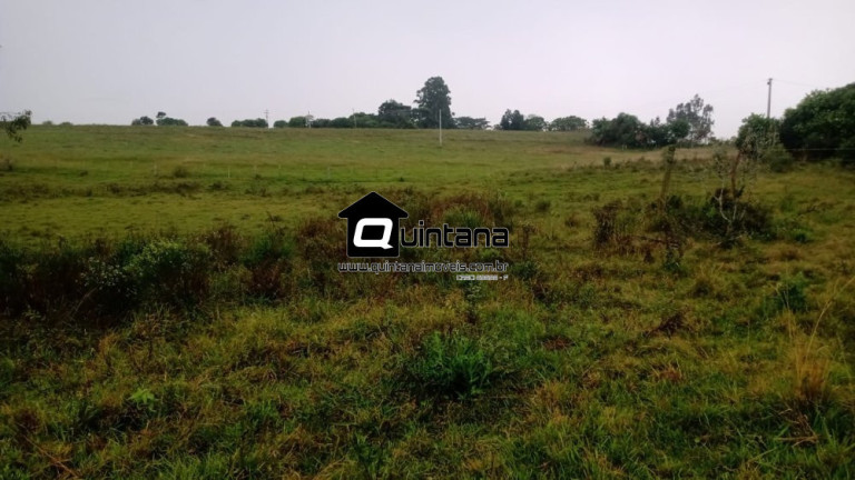 Imóvel com 2 Quartos à Venda, 40.000 m² em Br 116 - Cristal