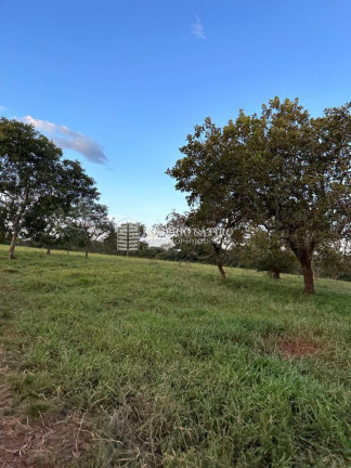 Imagem Imóvel à Venda, 146 m² em Jardim Santa Bárbara - Palmas Imagem Imóvel à Venda, 146 m² em Jardim Santa Bárbara - Palmas
