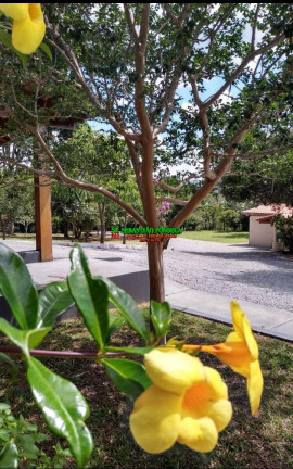 Imagem Chácara com 5 Quartos à Venda, 6.160 m² em Centro - Paraibuna Imagem Chácara com 5 Quartos à Venda, 6.160 m² em Centro - Paraibuna