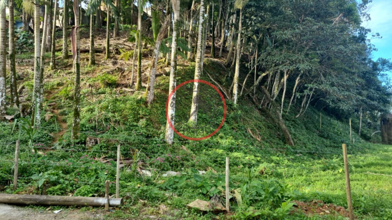 Imagem Terreno à Venda, 411 m² em Boiçucanga - São Sebastião Imagem Terreno à Venda, 411 m² em Boiçucanga - São Sebastião