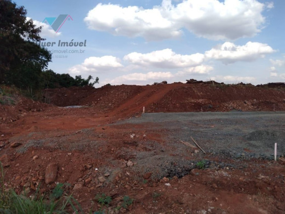 Imagem Terreno à Venda, 11.000 m² em Ipiranga - Ribeirão Preto