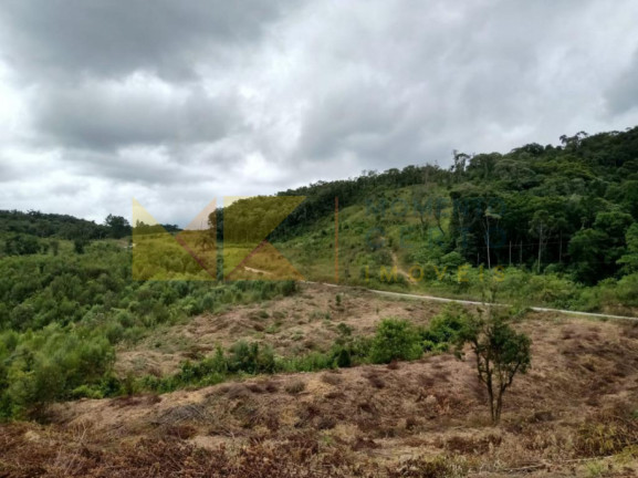 Imagem Fazenda à Venda, 64.288 m² em Barra Avencal - Rio Dos Cedros Imagem Fazenda à Venda, 64.288 m² em Barra Avencal - Rio Dos Cedros