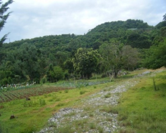Imagem Terreno à Venda, 6.467 m² em Piá - Nova Petrópolis Imagem Terreno à Venda, 6.467 m² em Piá - Nova Petrópolis
