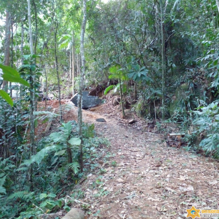 Imagem Terreno à Venda, 1.200 m² em Felix - Ubatuba Imagem Terreno à Venda, 1.200 m² em Felix - Ubatuba