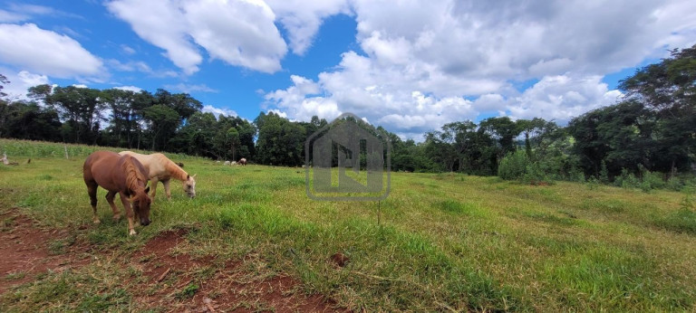 Imagem Imóvel à Venda, 2 m² em Presidente - Cascavel Imagem Imóvel à Venda, 2 m² em Presidente - Cascavel