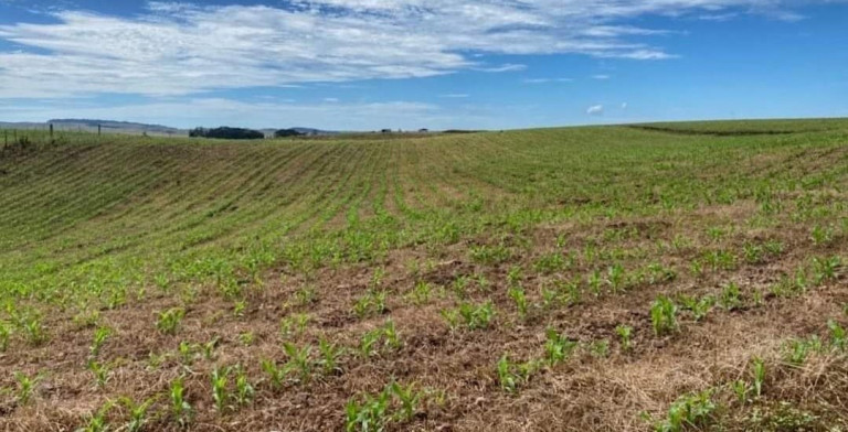 Fazenda à Venda, 104 m² em Localidade Azulega - Cambara Do Sul