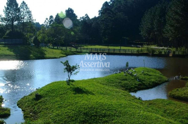 Imagem Terreno à Venda, 1 m² em Lomba Grande - Novo Hamburgo Imagem Terreno à Venda, 1 m² em Lomba Grande - Novo Hamburgo