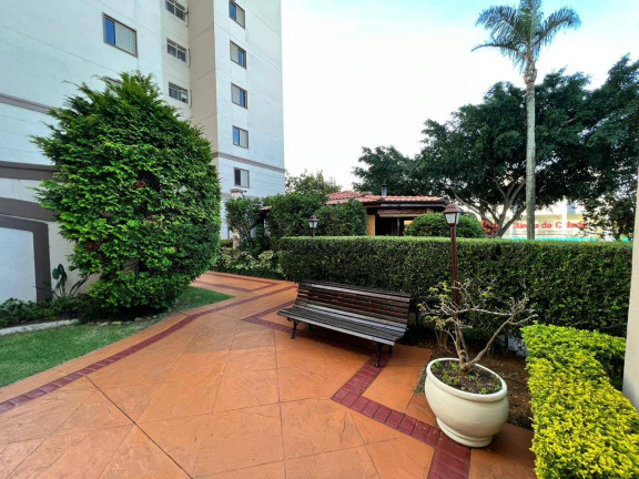Imagem Apartamento com 4 Quartos à Venda, 62 m² em Vila Santa Catarina - São Paulo Imagem Apartamento com 4 Quartos à Venda, 62 m² em Vila Santa Catarina - São Paulo