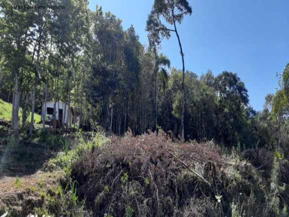 Terreno à Venda, 687 m² em Piá - Nova Petrópolis