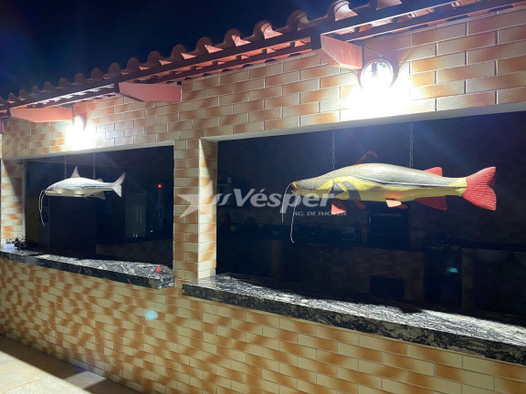 Imagem Casa com 4 Quartos à Venda, 544 m² em Luiz Alves - São Miguel Do Araguaia