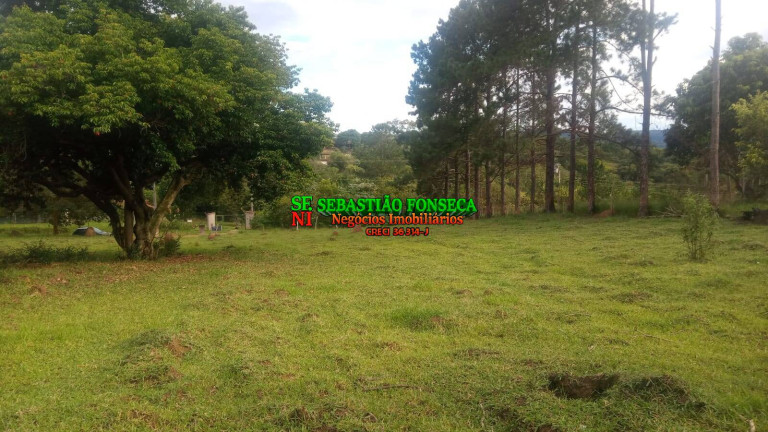 Imagem Chácara à Venda, 5.000 m² em Caçapava Imagem Chácara à Venda, 5.000 m² em Caçapava
