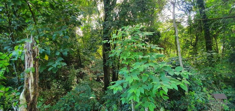 Imagem Terreno à Venda, 1.000 m² em Retiro Do Chalé - Brumadinho