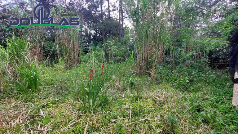 Imagem Terreno à Venda, 567 m² em águas Claras - Viamão
