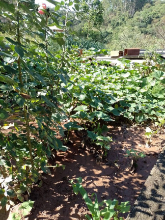 Imagem Chácara com 2 Quartos à Venda,  em Estância São Paulo - Campo Limpo Paulista