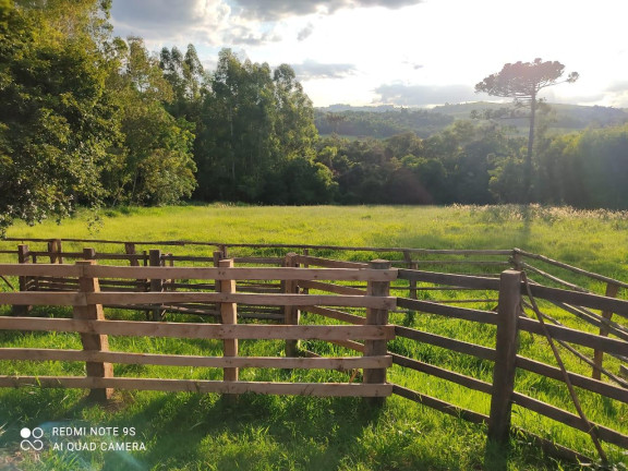 Imagem Imóvel com 2 Quartos à Venda, 96.800 m² em Rural - Japira