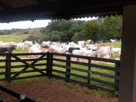 Imagem Chácara à Venda, 59 m² em Centro - Guareí Imagem Chácara à Venda, 59 m² em Centro - Guareí