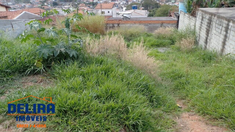Imagem Terreno à Venda, 250 m² em Terra Preta (terra Preta) - Mairiporã Imagem Terreno à Venda, 250 m² em Terra Preta (terra Preta) - Mairiporã