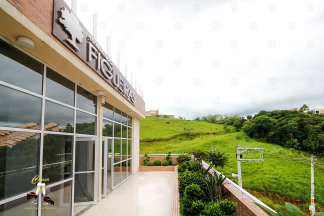 Imagem Apartamento com 2 Quartos à Venda, 52 m² em Vila Falchi - Mauá