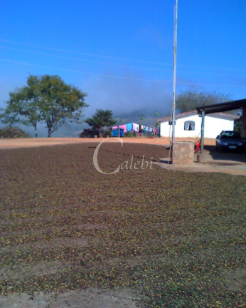 Imagem Chácara com 3 Quartos à Venda, 26 m² em Rural - Nova Resende
