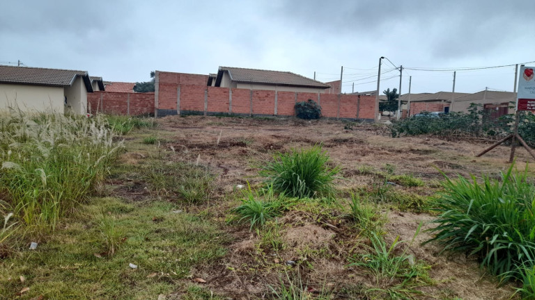 Imagem Terreno à Venda, 182 m² em Jardim Cristo Redentor - Nova Rbeirao - Pacaembu - Ribeirão Preto Imagem Terreno à Venda, 182 m² em Jardim Cristo Redentor - Nova Rbeirao - Pacaembu - Ribeirão Preto