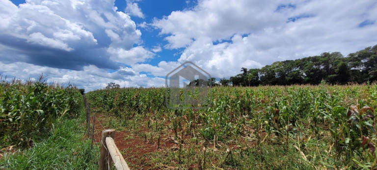 Imagem Imóvel à Venda, 2 m² em Presidente - Cascavel Imagem Imóvel à Venda, 2 m² em Presidente - Cascavel